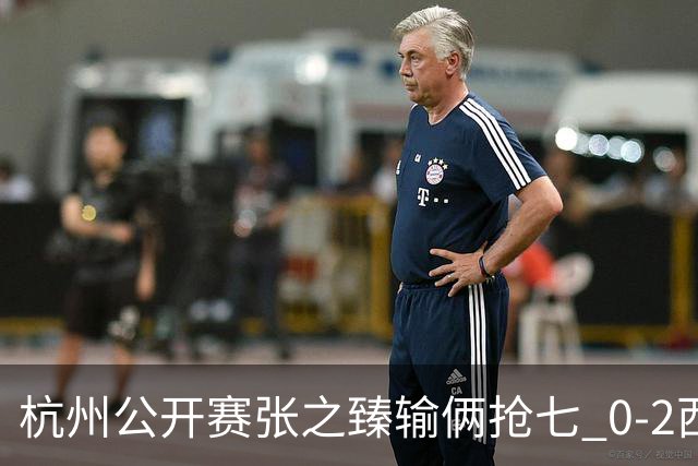 杭州公开赛张之臻输俩抢七 0-2西里奇收获亚军
